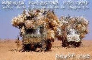 Autorennen spiele spielen