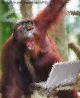 Kinderspielsachen online